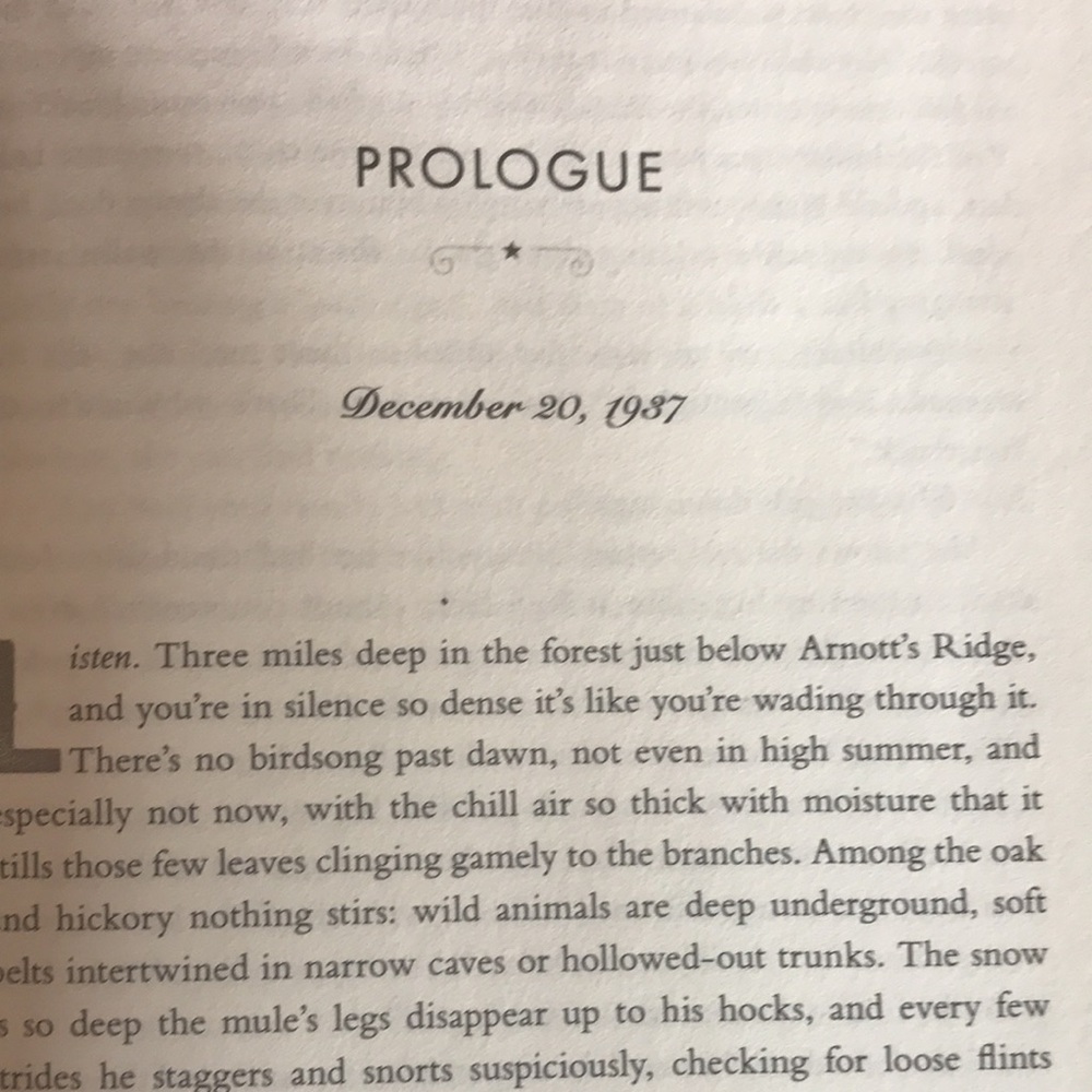 THE GIVER OF STARS BY Jojo Moyes EUC - Picture 8 of 13